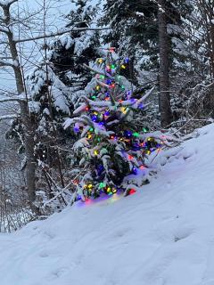 Promontoire-29 Mountain chalet with a hot tub - 7