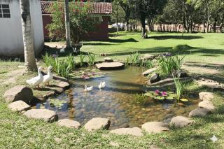 Fazenda Riachão - Pojuca - 2