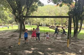 Fazenda Riachão - Pojuca - 5