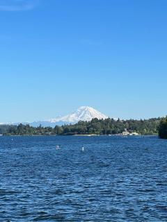 Elegant 1BR Retreat in Columbia City Seattle - 6