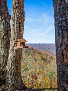Brow Bella - Mt Views, Hot Tub & Porch - 9