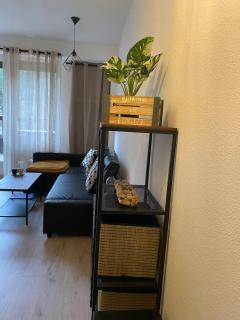 Le Myrose au pied des pistes - Les Angles - 2