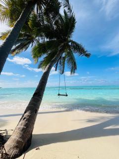 Eco Palm Maldives - 1