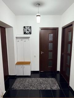 Modern apartment in Ford-Ferval area, Craiova - 9