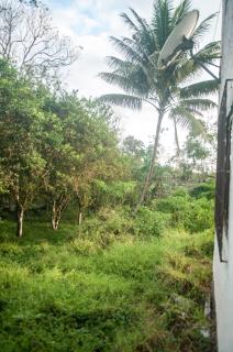 Owl House, Large and comfortable Suite - 4