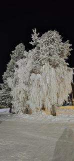 KorkaloHill Apartment - 1