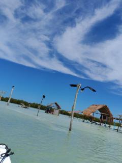 On Beach Seaside Sunset Haven 2 - Epic Sea View - 4