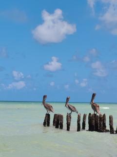 On Beach Seaside Sunset Haven 2 - Epic Sea View - 1