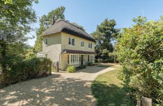 Wonderful thatched cottage in the New Forest National Park - 0