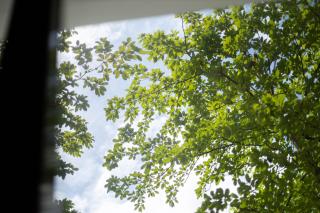 My Daily Homestay - Miri Times Square - 2