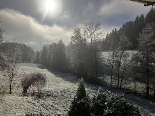 Ferienwohnung am Leinbach, nahe Freudenstadt, Weihnachtsmarkt vom 04 bis 14 Dezember in Freudenstadt - 7