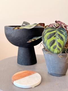 Sage Sanctuary - Private Oasis Getaway - 6