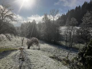 Ferienwohnung am Leinbach, nahe Freudenstadt, Weihnachtsmarkt vom 04 bis 14 Dezember in Freudenstadt - 8
