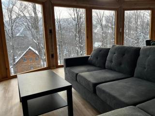 Montagne-Ski-Spa-Domaine du Massif - 1