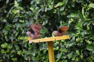 Encantador refugio con piscina a 20 minutos de Villeta - 6