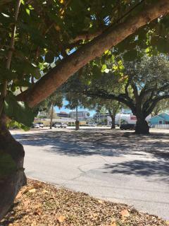 *Downtown home 10min. drive to beach; walk DT* - 4
