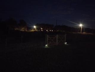 Sueño Dorado Container - 9