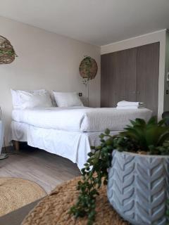 Suit Central Gestión Reservas - 4