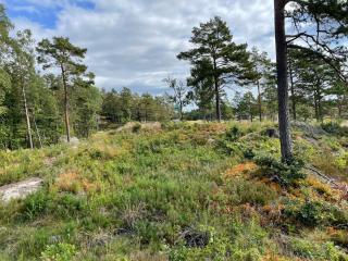 Sørlandsleia Familiehytte med badstue - 4