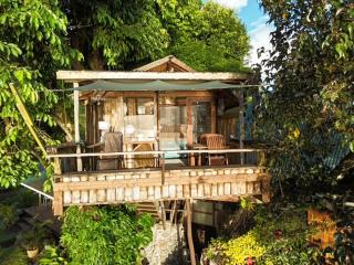 Vairao bungalow bord de lagon - 6