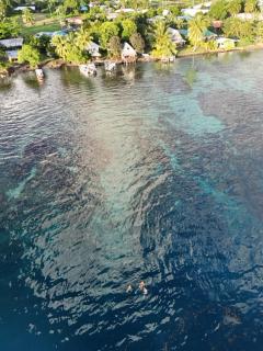 Vairao bungalow bord de lagon - 5