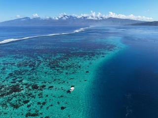 Vairao bungalow bord de lagon - 4
