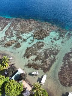 Vairao bungalow bord de lagon - 3