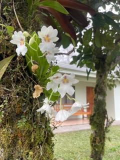 Alojamiento con lago privado en Bajos del Toro - 0