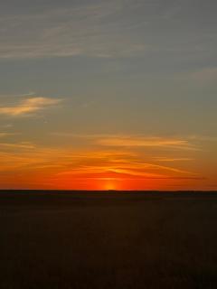 Hamar - Puffin Cottages & Rooms - 7