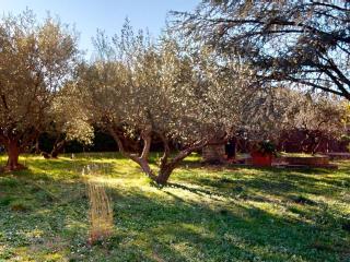 Villa familiale 7 pièces avec coin piscine privé - FR-1-785-29 - 5