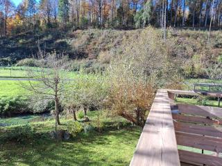 Maison familiale en lisière de forêt - 9