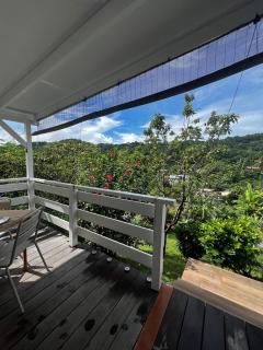 Grand studio Plaisance et Fleurs - 7