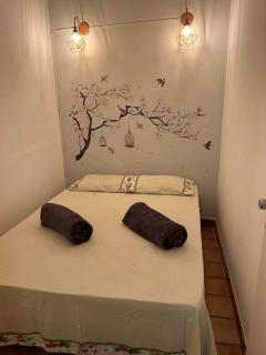 Canto do Florescer - 5