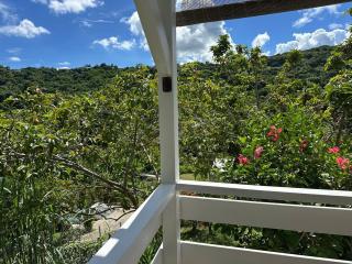 Grand studio Plaisance et Fleurs - 2