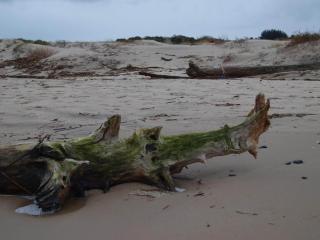 Seaside Haven Retreat - By Traum Ferienwohnungen - 6