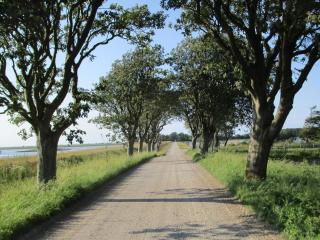 5 person holiday home in Harboøre-By Traum - 4