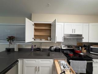 Stylish Stay Near AT&T and Six Flags Free Parking - 1