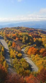 Apartmani NLUX and SPA - 8