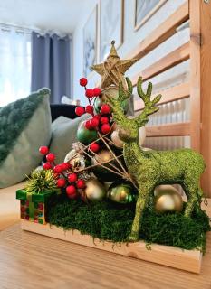 Gästeappartement Viktoria - 8