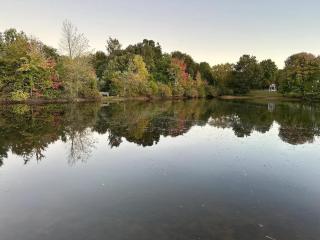 Scenic Cottage with Trails, Pond & Valley Views - 7