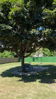 Brand new 2 bedroom basement apartment - 8