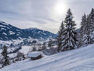 Haus Tauernblick Top 2 - 5