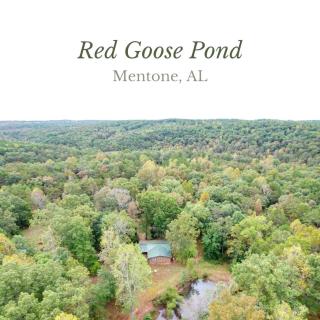 Red Goose Pond - Mins to Desoto Falls, Fire Pit - 0