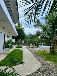 Coconut Inn Moalboal - 4