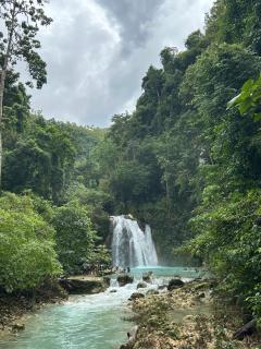 Coconut Inn Moalboal - 9