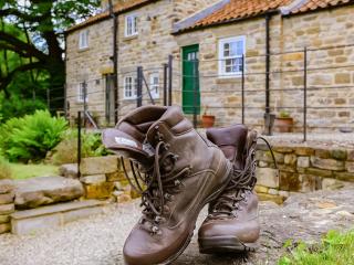 Tiggywinkle Cottage - 2