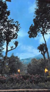 Eco Wild Glamping Bambarakanda - 5