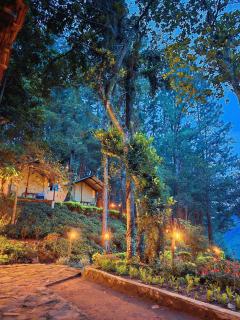 Eco Wild Glamping Bambarakanda - 5