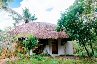 Bamboo Jungle Villa's - 5