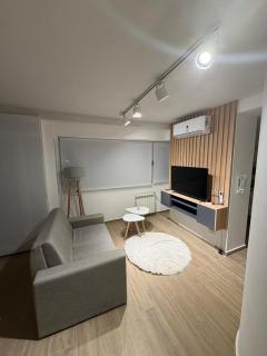 Depto , 1 dormitorio mas sofá cama en living - 7